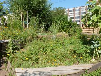 urbaner Garten