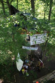 Baumhaus mit Banners im Dietenbachwald