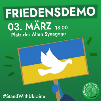 sharpic friedensdemo fridays