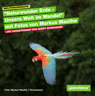 Markus Mauthe / Greenpeace