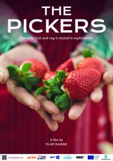 Filmposter des Films The Pickers: Zwei Hände mit Erdbeeren darin