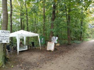 Mahnwachenpavillon im Wald