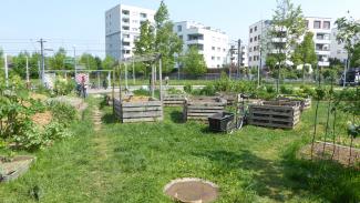 Blick auf den Garten